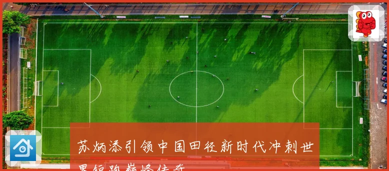 苏炳添引领中国田径新时代冲刺世界短跑巅峰传奇