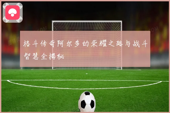 格斗传奇阿尔多的荣耀之路与战斗智慧全揭秘