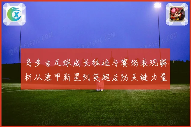 乌多吉足球成长轨迹与赛场表现解析从意甲新星到英超后防关键力量